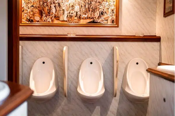 VIP Toiletwagen Engelse Stijl Shire - 1803 - Image 3